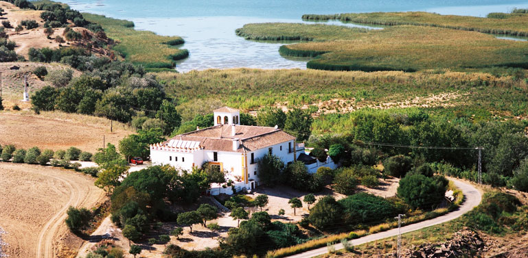 Hacienda Hotel El Santiscal Hacienda Hotel El Santiscal