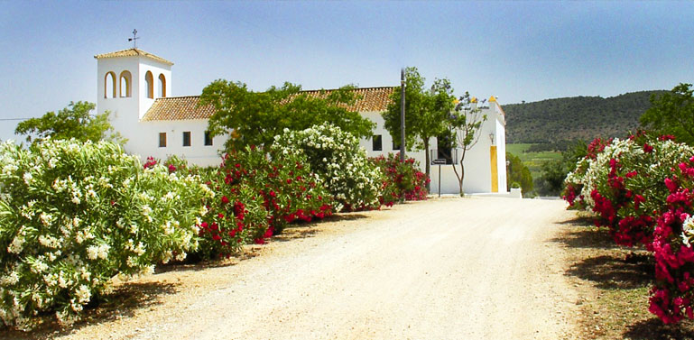 Hacienda Hotel El Santiscal Hacienda Hotel El Santiscal