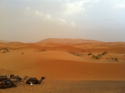 Desert Merzouga Zagora m'hamid (2-days and 1 night)