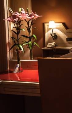 Conoce el hotel